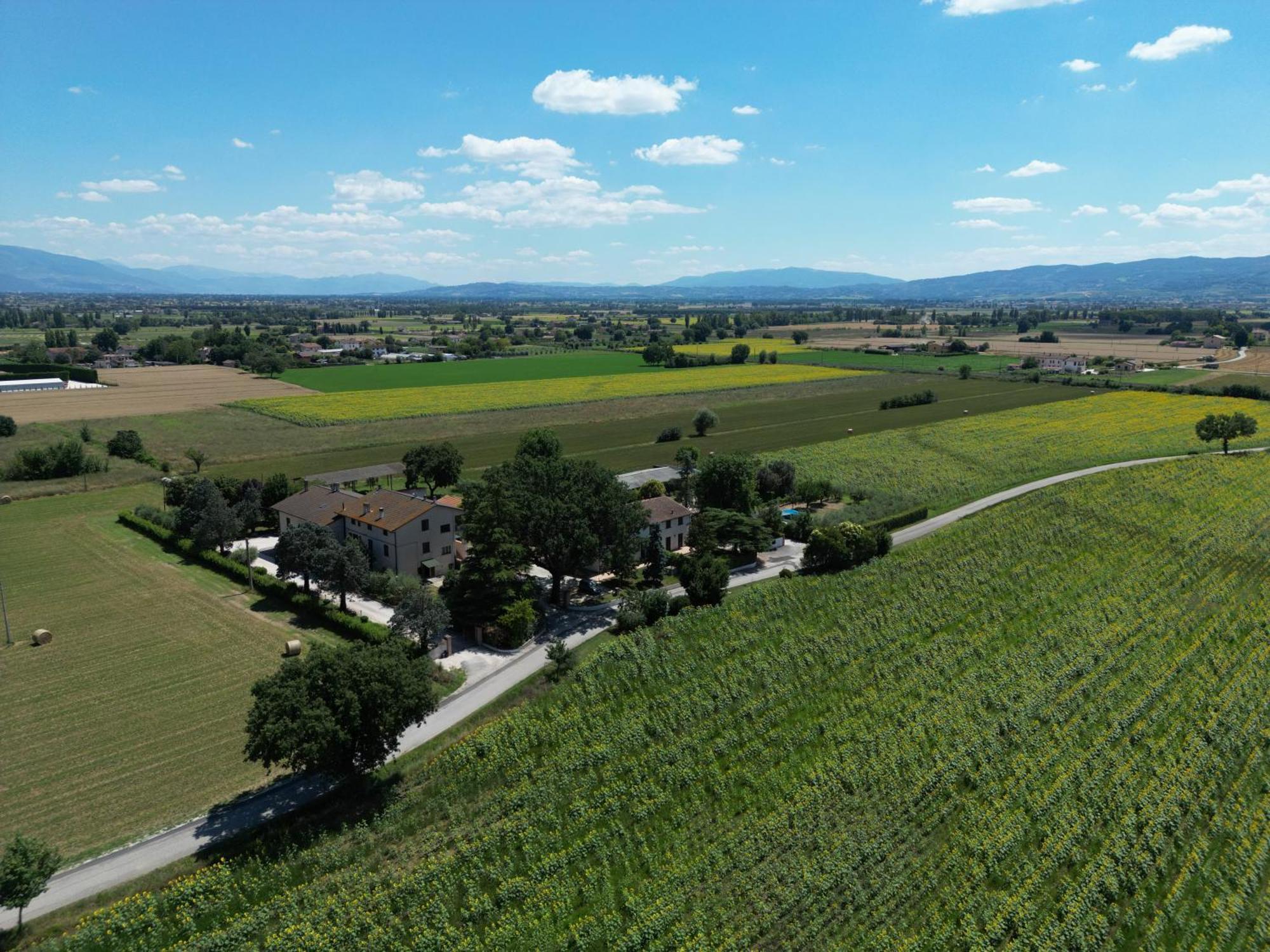 Il Quercione Agriturismo Rivotorto Bagian luar foto